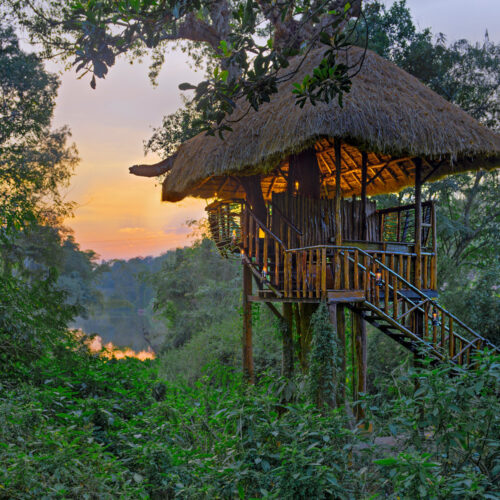 Coorg